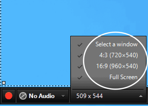Storyline 360 Screen Recording Options